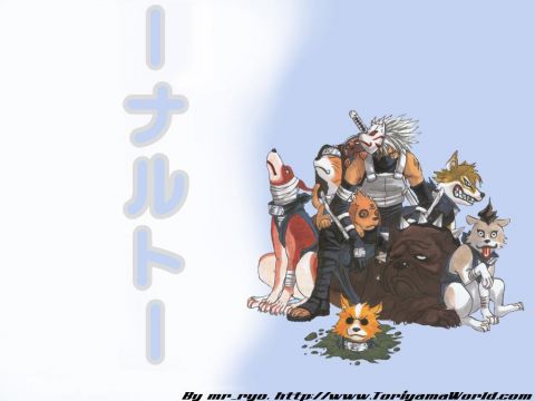 Naruto161